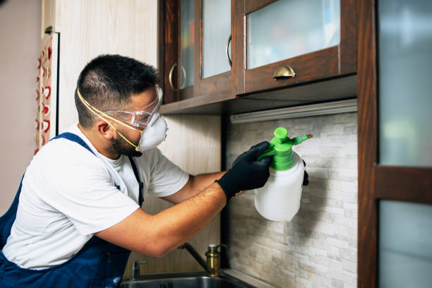 Best Best Pest Control Companies  in Reinbeck, IA