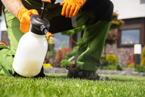 Best Pest Control Near Me in Reinbeck, IA