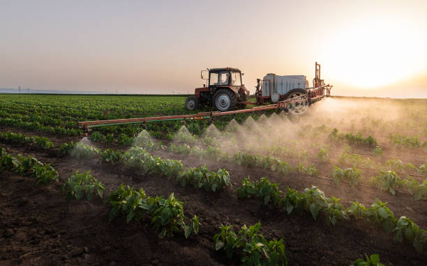 Best Pest Control Near Me  in Reinbeck, IA