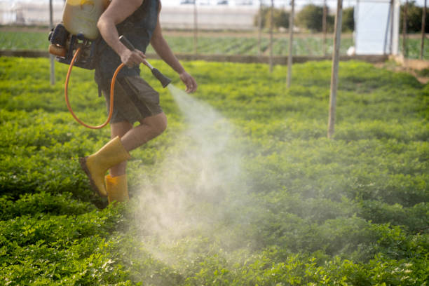 Best Residential Pest Control  in Reinbeck, IA