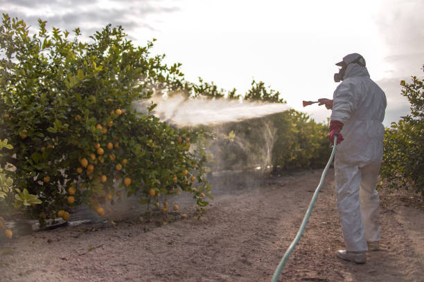 Best Pest Prevention Services  in Reinbeck, IA