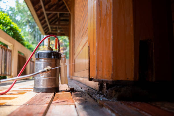 Best Exterminator Services  in Reinbeck, IA