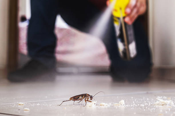 Best Affordable Pest Control Services  in Reinbeck, IA