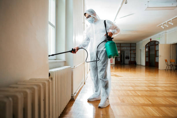 Best Pest Removal Services  in Reinbeck, IA