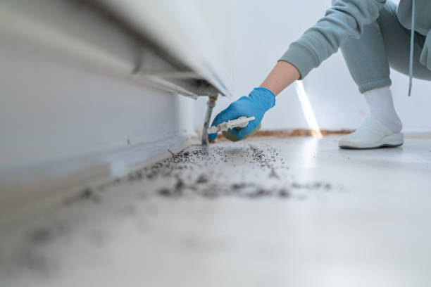 Pest Control Cost in Reinbeck, IA