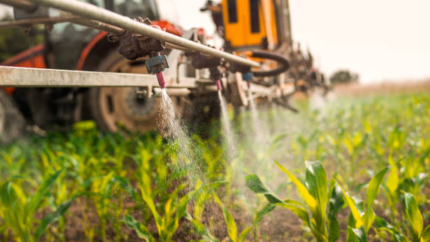 Best Wildlife Control Services  in Reinbeck, IA